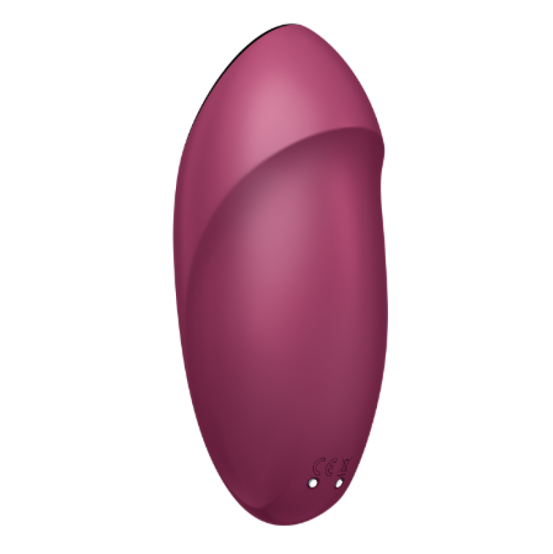 Underwear Vibrator Satisfyer Sexy Secret Wine Red