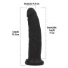 Toyz4lovers Ρεαλιστικό Dildo Toyz4lovers Delicious Sam με Άρωμα Γλυκόριζα 19.5cm Μαύρο Ρεαλιστικά