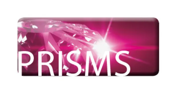prism-erotic-glass-toys-600x315w.webp