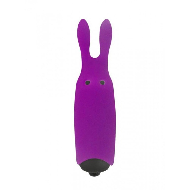 Mini Vibrator Adrien Lastic Pocket Vibe Purple