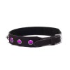 Crystal Collar Devil Sticks Hot Pink Devil Sticks Crystal Collar Devil Sticks Hot Pink Collars