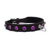 Crystal Collar Devil Sticks Hot Pink Devil Sticks Crystal Collar Devil Sticks Hot Pink Collars