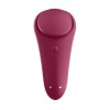 Satisfyer Underwear Vibrator Satisfyer Sexy Secret Wine Red Panty Vibrators