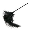 Easytoys – Fetish Collection Μεγάλο Φτερό Easytoys Μαύρο Φτερά & Ticklers