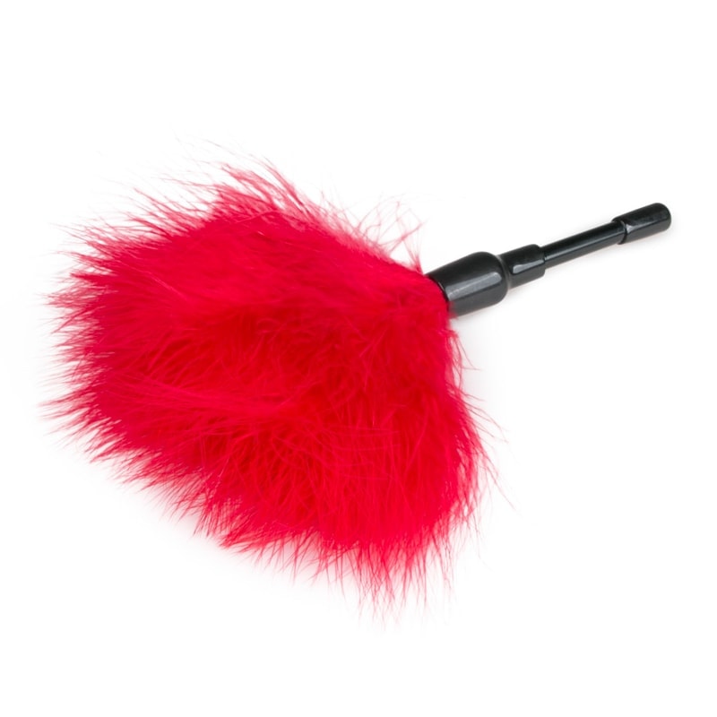 Easytoys – Fetish Collection Μικρό Φτερό Easytoys Κόκκινο Φτερά & Ticklers