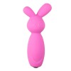 Mini Vibrator Easytoys Bunny Pink Easytoys – The Mini Vibe Collection Mini Vibrator Easytoys Bunny Pink Bullet