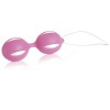 Erotic Set Envolved Intense Pleasure Kit Pink Evolved Erotic Set Envolved Intense Pleasure Kit Pink Set