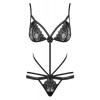 Obsessive Teddy Obsessive Wonderia Black Bodies