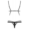 Teddy Obsessive Wonderia Black Obsessive Teddy Obsessive Wonderia Black Bodies