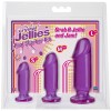 Crystal Jellies Butt Plug Set Crystal Jellies Anal Starter Kit Purple Jelly
