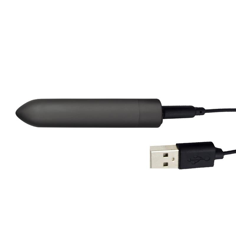 Tardenoche Bullet Vibrator Tardenoche Shady USB Black Bullet