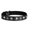 Whipped Cowan Collar Whipped Black Collars