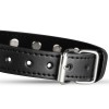 Whipped Cowan Collar Whipped Black Collars