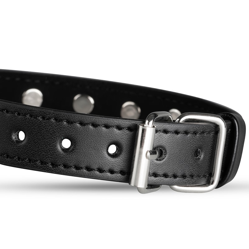 Whipped Cowan Collar Whipped Black Collars