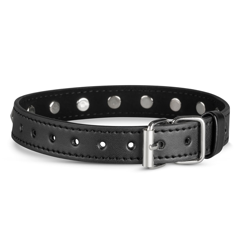 Whipped Cowan Collar Whipped Black Collars