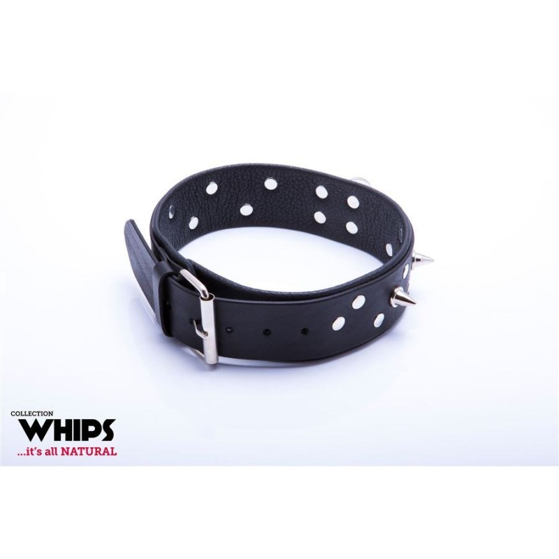 Δερμάτινο Κολάρο με Λουρί Whips for Him Classic Μαύρο Whips Δερμάτινο Κολάρο με Λουρί Whips for Him Classic Μαύρο Κολάρα