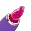 Pleasure Pump with G-Spot Vibrator Easytoys Purple Pleasure Pump with G-Spot Vibrator Easytoys Purple