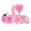Erotic Set Loveboxxx I Love Pink Gift Box Pink