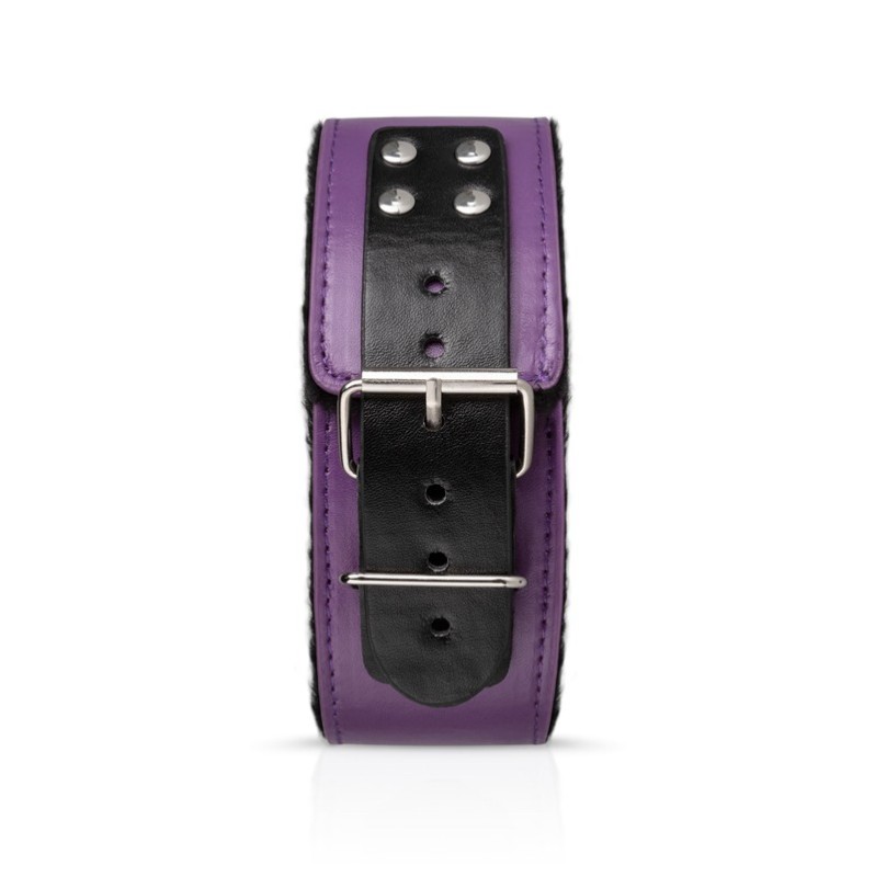 Bondage Set Secret Pleasure Chest Purple Apprentice