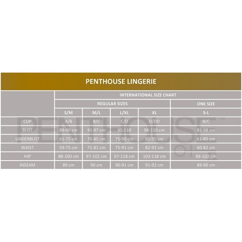 Κορμάκι Penthouse Go Hotter Μαύρο