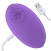 Intoyou Remote Vibrating Egg Intoyou Odise Purple Vibrating Eggs