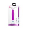 Classic Vibrator Pretty Love Randolph Purple