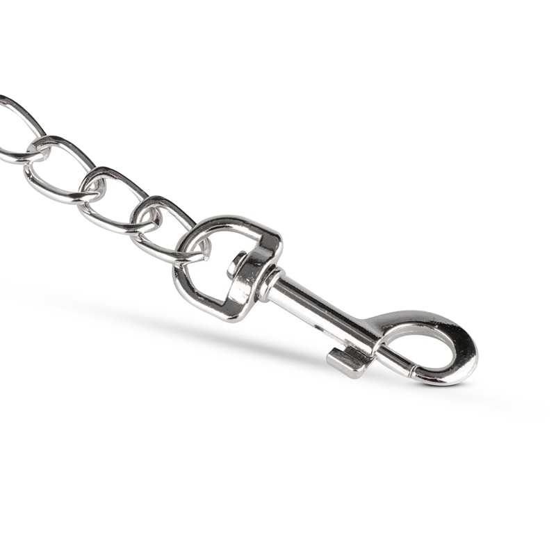 Chloe Collar With Leash XOXO Pink