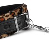 Colt Collar With Chain Rawr Leopard