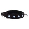 Crystal Collar Devil Sticks Light Blue