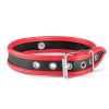 Collar Whipped Connell Red