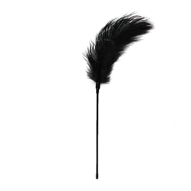 Feather Tickler Easytoys Black Feather Tickler Easytoys Black