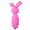 Mini Vibrator Easytoys Bunny Ροζ