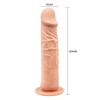 Ρεαλιστικό Dildo Barbara Calvin 20cm Μπεζ