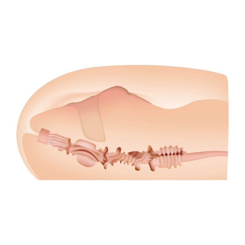 Realistic Masturbator Sasha Grey Vagina&Ass Nude Realistic Masturbator Sasha Grey Vagina&Ass Nude