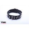 Leather Collar with Leash Whips for Him Classic Black