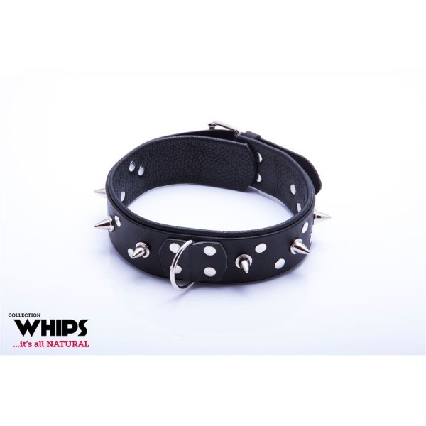 Leather Collar with Leash Whips for Him Classic Black