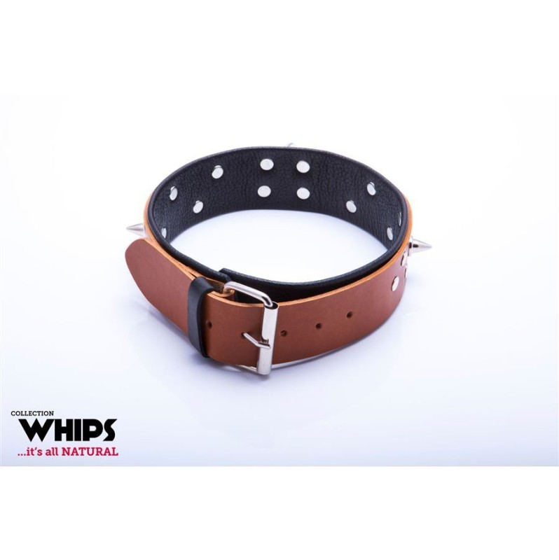 Leather Collar with Leash Whips for Him Cognac