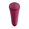 Underwear Vibrator Satisfyer Sexy Secret Wine Red