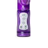 Rabbit Vibrator Easytoys Purple