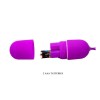 Vibrating Egg Pretty Love Arvin Purple Vibrating Egg Pretty Love Arvin Purple