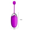 Vibrating Smart Egg Pretty Love Abner Purple