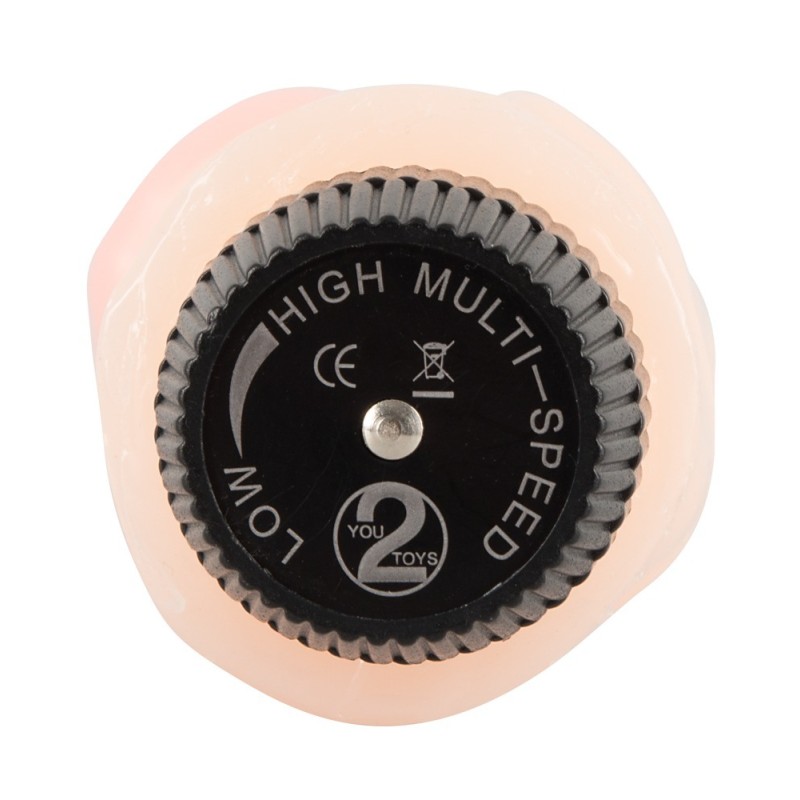 Ρεαλιστικός Δονητής You2Toys Pink Lover 23cm Μπεζ You2Toys Ρεαλιστικός Δονητής You2Toys Pink Lover 23cm Μπεζ Ρεαλιστικοί